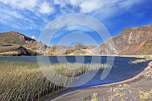 Lake overgrown with high grass