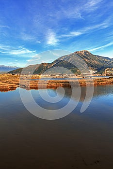 Lake overgrown with reeds mountains in background