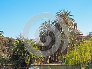 Lake and palm trees in spanish park.