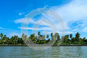 Lake and palms beatiful summer under a the blue sky take a boat to enjoy the view along the side of the river at meaklong river,