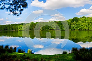 Lake in the Park with Forest on the other shore, Clear blue sky and Fluffy White Clouds