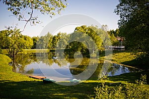 Lake in the Park among green trees and fields of dandelions.