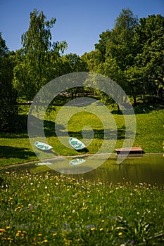 Lake in the Park among green trees and fields of dandelions.