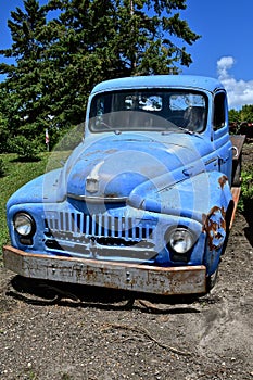 Old blue International pickup