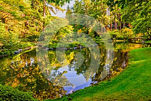 Lake in the park with a mirror image of the sky, trees and shrub