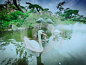 The lake in the park on the outskirts of Beijing