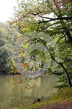 Lake Parz. Dilijan National Park. Tavush province. Armenia