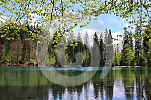 Lake Passy, the green lake, France