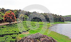 LAKE PATENGGANG IN INDONESIA photo