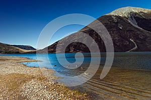 Lake Pearson / Moana Rua Wildlife Refuge located in Craigieburn Forest Park in Canterbury region, South Island of New Zealand