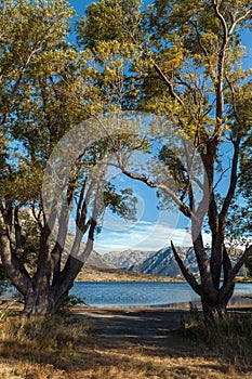 Lake Pearson / Moana Rua Wildlife Refuge located in Craigieburn Forest Park in Canterbury region, South Island of New Zealand