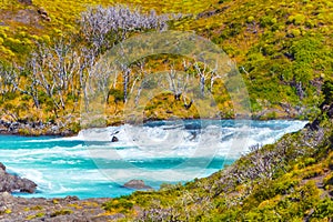 Lake Pehoe, Torres del Paine National Park, Patagonia, Chile, South America. Copy space for text