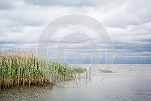 Lake Peipus in Eastern Estonia photo