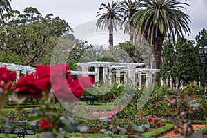 Lake Pergola at El Rosedal Rose Park at Bosques de Palermo - Buenos Aires, Argentina