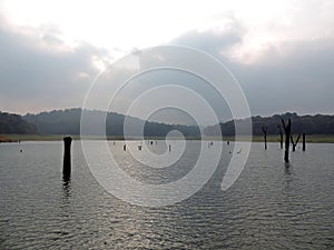 Lake in Periyar National Park, Kerala at sunset