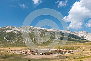 Lake of pietranzoni