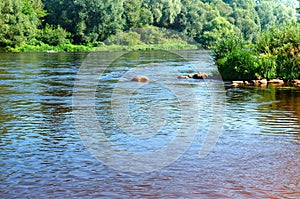 Lake or pond for fishing, the fishermen on the boat, the scenery is beautiful pond