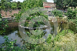 Lake, pond, swamp