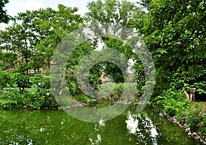 Lake, pond, swamp