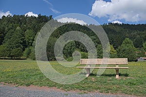 Wooden park bench at a park