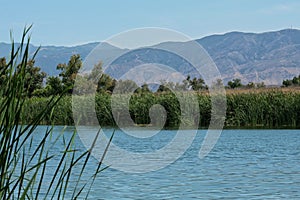 Lake at Prado Regional Park, Chino Hills, San Bernardino