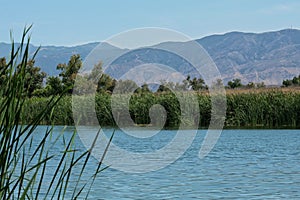 Lake at Prado Regional Park, Chino Hills, San Bernardino photo