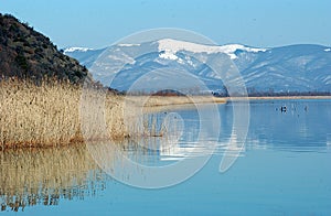 Lake Prespa, Macedonia