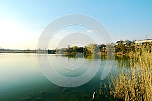 Lake in the private sector