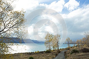 Lake Pukaki In The Fall