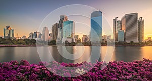 Lake with Purple Flowers in City Park under Skyscrapers at Sunrise