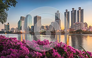Lake with Purple Flowers in City Park under Skyscrapers at Sunrise