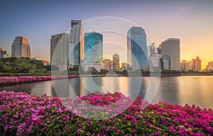 Lake with Purple Flowers in City Park under Skyscrapers at Sunrise