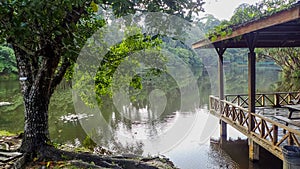 The lake at Rainforest Discovery Centre In Sepilok, Borneo