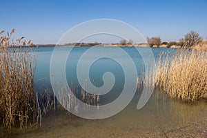 Lake with reed, Puste Ulany, Slovakia