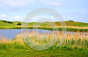 Lake, reeds and hills