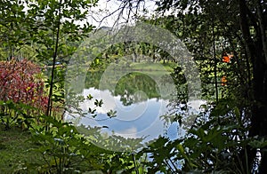 Lake and reflecion of tropical forest in Minas Gerais