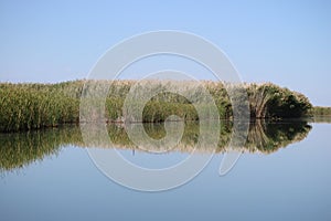 Lake reflection