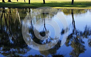 Lake Reflection