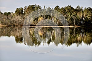 Lake Reflection of a Forest Treeline photo
