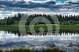 Lake and reflection of trees