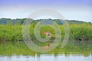 Lake with reflection of trees and bench