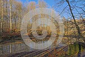 Lake with reflection of trees  on a sunny day in Sonian forest