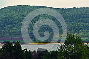 Lake reflection water forest summer fields harvest