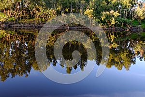 Lake and reflection of the wood ashore