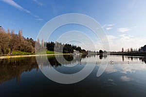 Lake reflections