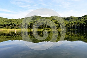 Lake reflections in Las Terrazas (Pinar del Rio, Cuba) photo