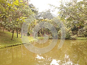 Lake in Regional Park Santo Andre Sao Paulo Brazil.