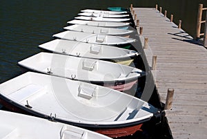 Lake rental boats row