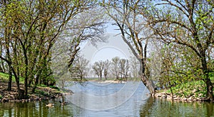 Lake in the reserve Askania-Nova in Ukraine