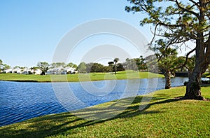 Lake in residential district, Florida, USA photo